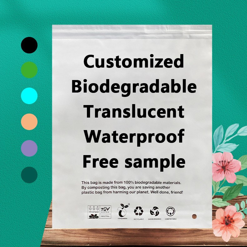 Η Zeal X λανσάρει βιοδιασπώμενες σακούλες υψηλής απόδοσης PLA PBAT για βιώσιμες λύσεις συσκευασίας παγκοσμίως